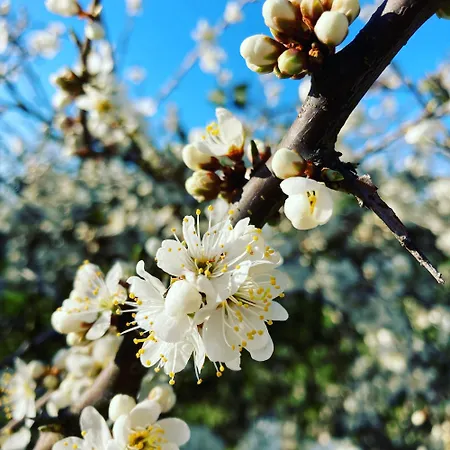 La Route Du Phare Fermanville