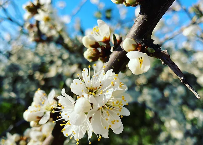 La Route Du Phare Fermanville
